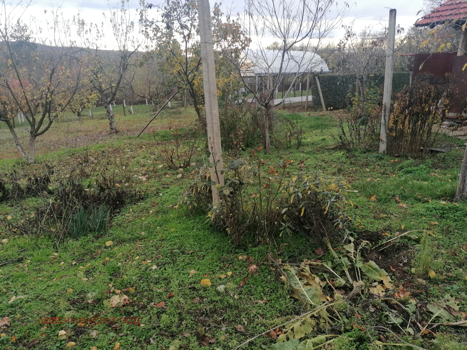 ������� ���� | Imot.bg � ����������� 12