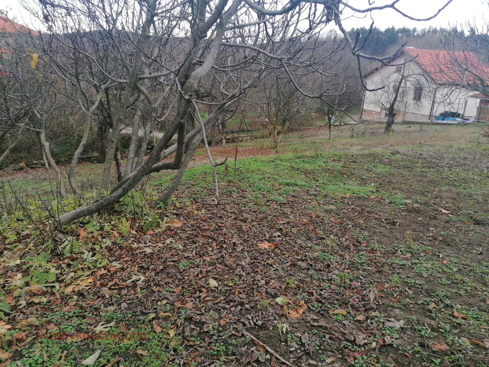 ������� ���� | Imot.bg � ����������� 10