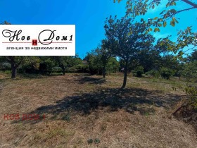 ����� ������� ������,�. �������, ������ �����