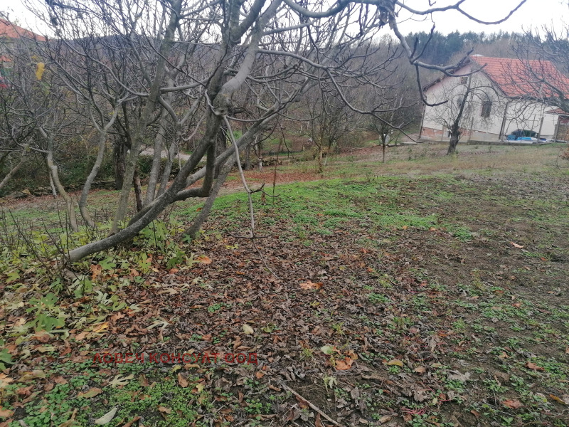 Продава КЪЩА, с. Горно Павликене, област Ловеч, снимка 10 - Къщи - 52882231