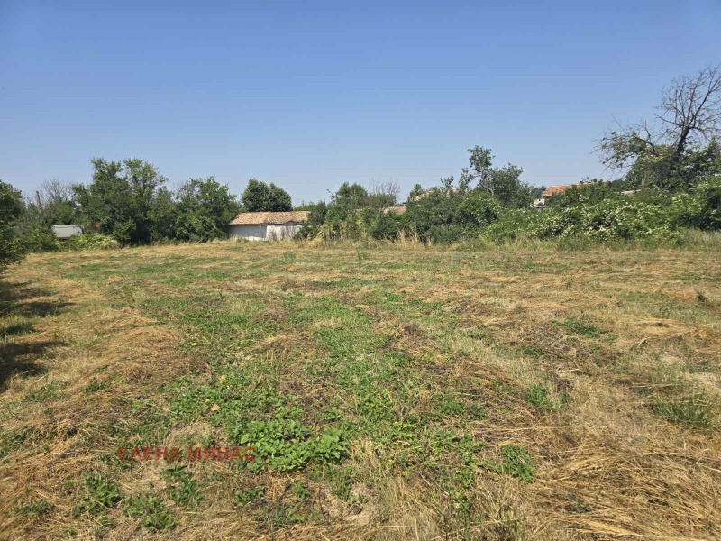 Eladó  Cselekmény régió Shumen , Ivanski , 1648 négyzetméter | 35946015