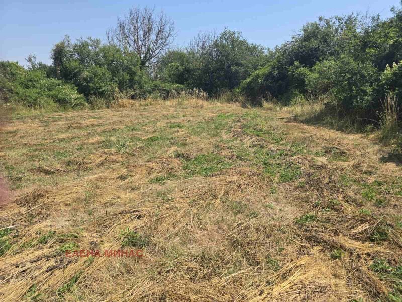 Eladó  Cselekmény régió Shumen , Ivanski , 1648 négyzetméter | 35946015 - kép [2]