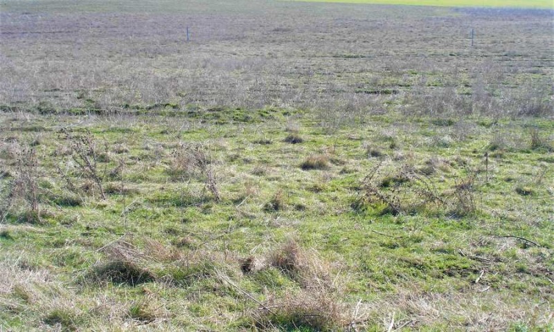 Till salu  Komplott Burgas , Dimtjevo , 9572 kvm | 79915726 - bild [6]
