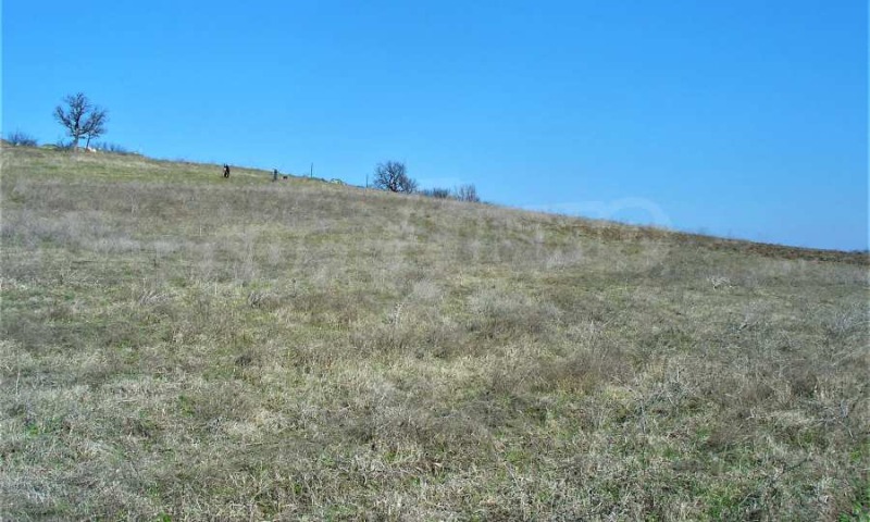 Till salu  Komplott Burgas , Dimtjevo , 9572 kvm | 79915726 - bild [5]