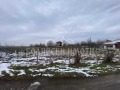 Продава ПАРЦЕЛ, с. Първомайци, област Велико Търново, снимка 2