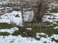 Продава ПАРЦЕЛ, с. Първомайци, област Велико Търново, снимка 6