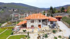 ������ ������� ����