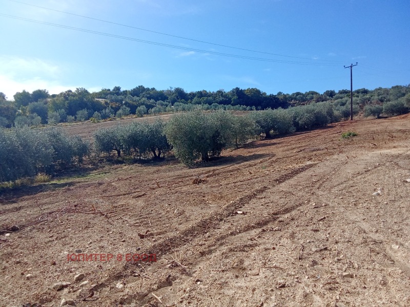 Продава ПАРЦЕЛ, Извън страната, област Извън страната, снимка 9 - Парцели - 52538372