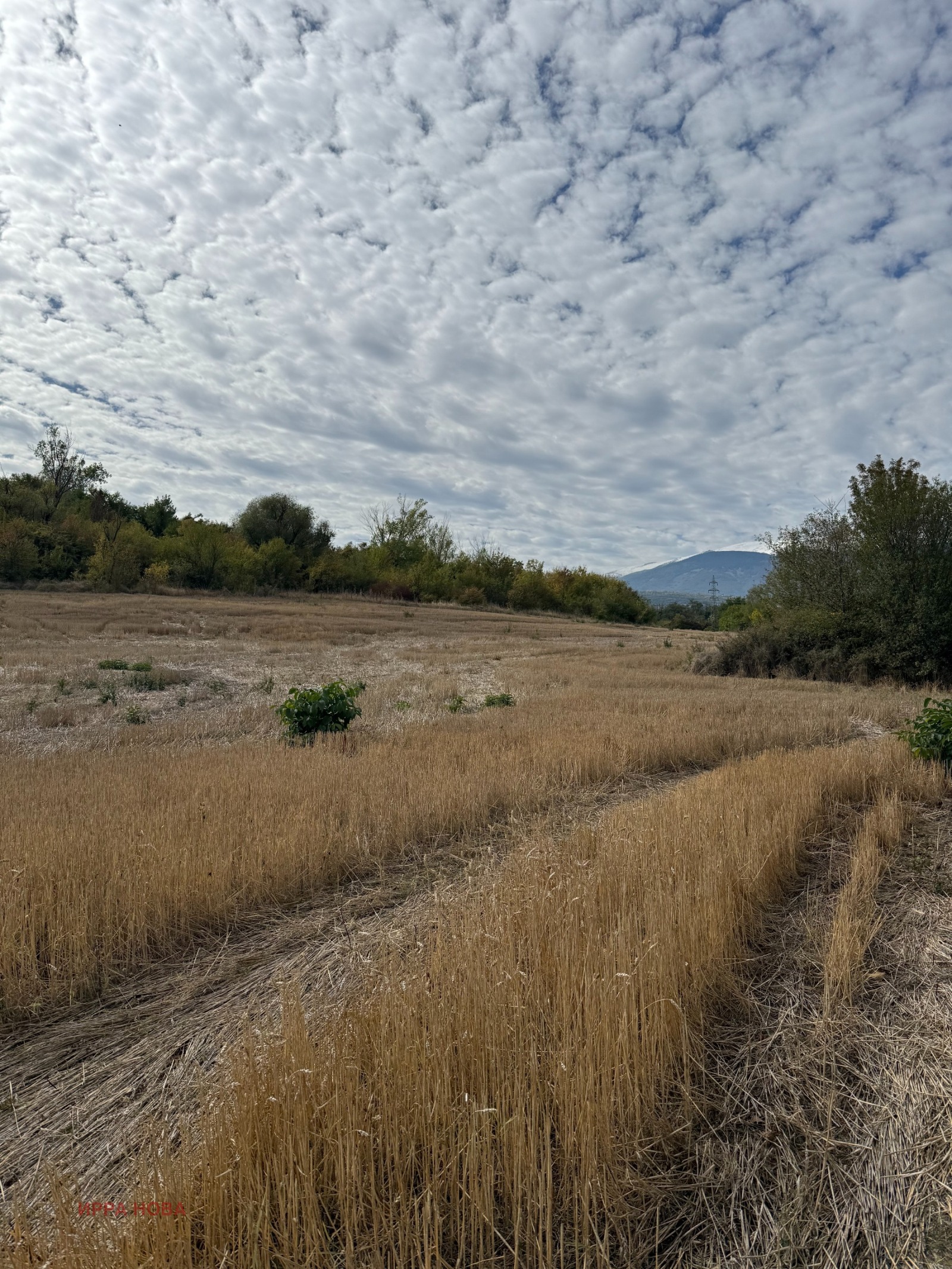 Продава ПАРЦЕЛ, гр. София, с. Герман, снимка 3 - Парцели - 53735342