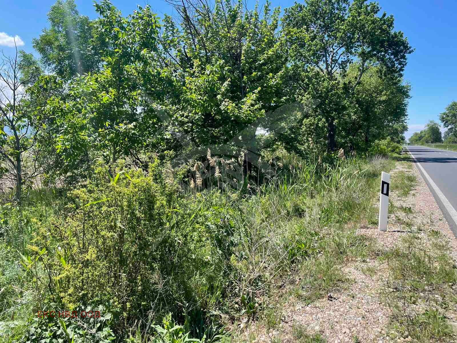 ������� ���������� ���� | Imot.bg � ����������� 2