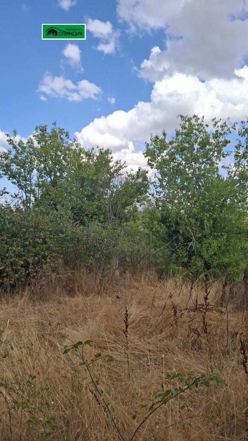 На продаж  Сюжет область Враца , Гложене , 1250 кв.м | 51124310 - зображення [5]