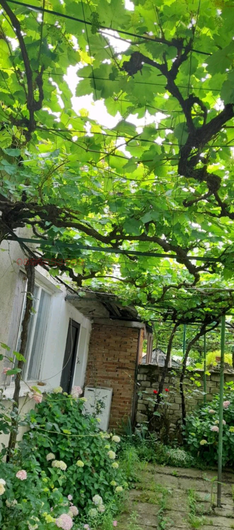 ������� ���� | Imot.bg � ����������� 10