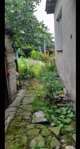 ������� ���� | Imot.bg � ����� ������ 8