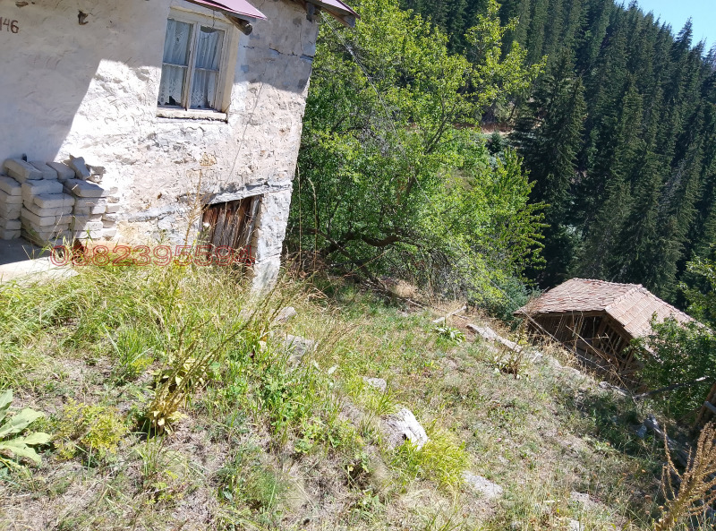 Продава КЪЩА, с. Зорница, област Смолян, снимка 5 - Къщи - 52784810