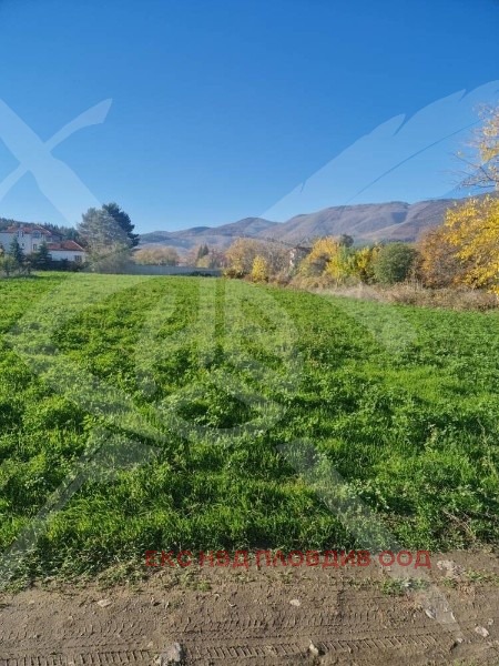 Продава ПАРЦЕЛ, с. Долнослав, област Пловдив, снимка 4 - Парцели - 54222583