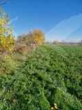 Продава ПАРЦЕЛ, с. Долнослав, област Пловдив, снимка 2