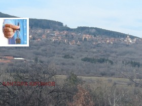 ����� ������� ����,�. ���������, ������ ���������