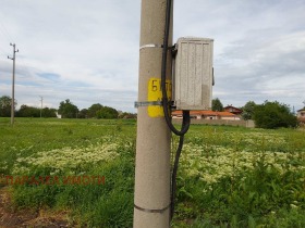 ����� ������� ������,�. �������, ������ �������