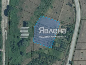 ����� ������� ������,�. ���������, ������ ���������