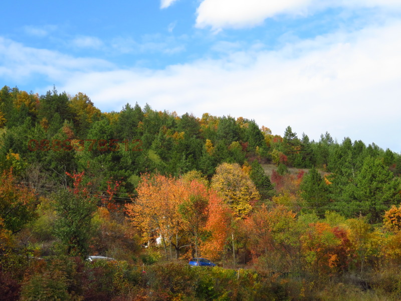 Продава КЪЩА, с. Реброво, област София област, снимка 11 - Къщи - 52577791