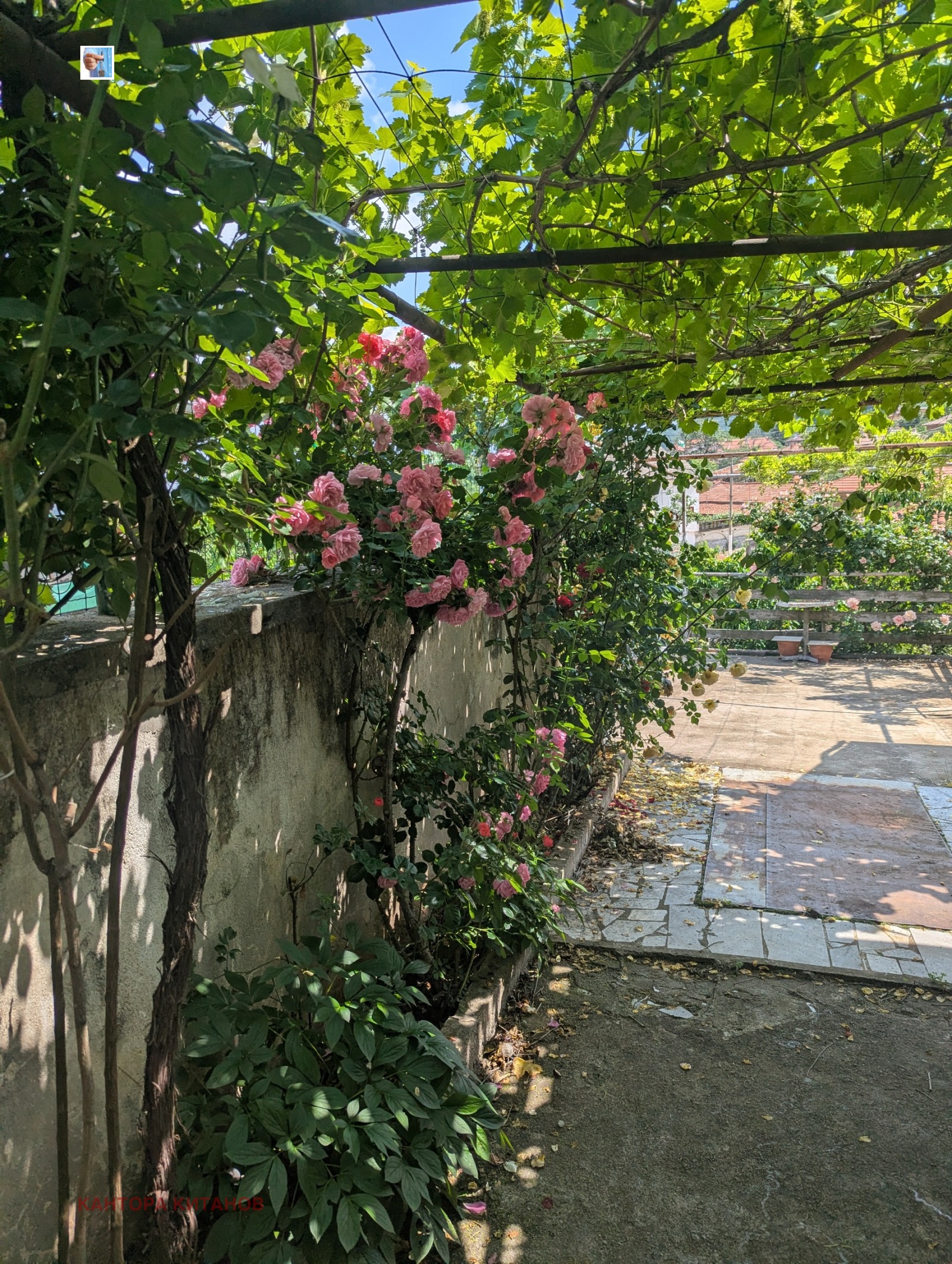 Продава КЪЩА, с. Славовица, област Пазарджик, снимка 10 - Къщи - 53590287