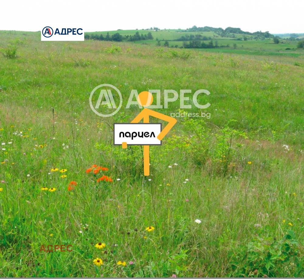 Продава ПАРЦЕЛ, с. Приселци, област Варна, снимка 4 - Парцели - 54547504