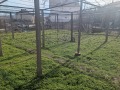Продава КЪЩА, с. Славовица, област Пазарджик, снимка 17