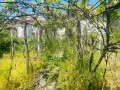Продава КЪЩА, с. Дъбован, област Плевен, снимка 6