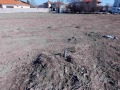 Продава ПАРЦЕЛ, с. Крумово, област Пловдив, снимка 3