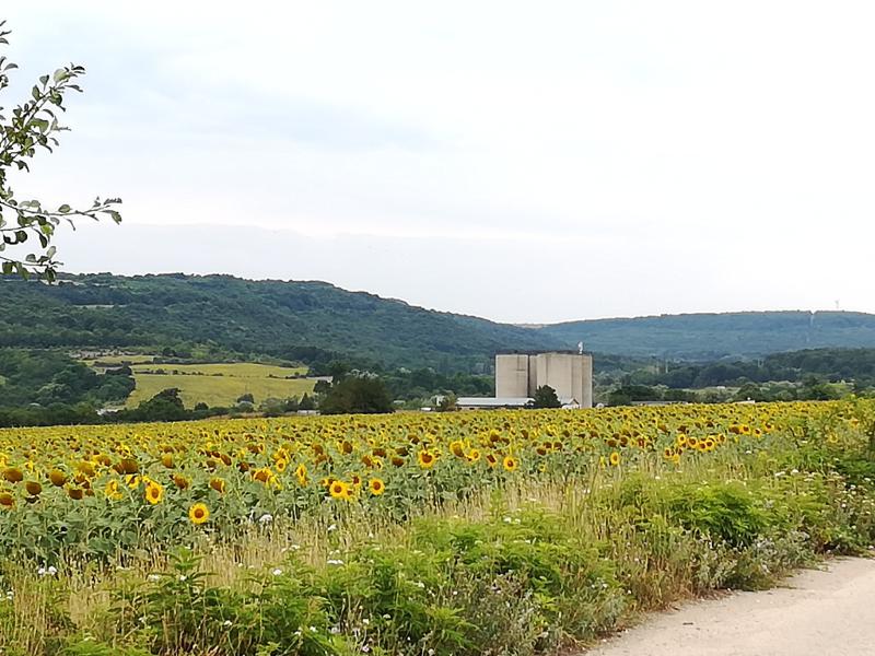 ������� ������ | Imot.bg � ����������� 5