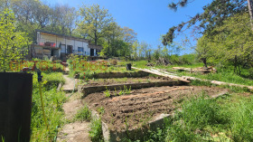 ������� ������ | Imot.bg � ����� ������ 5