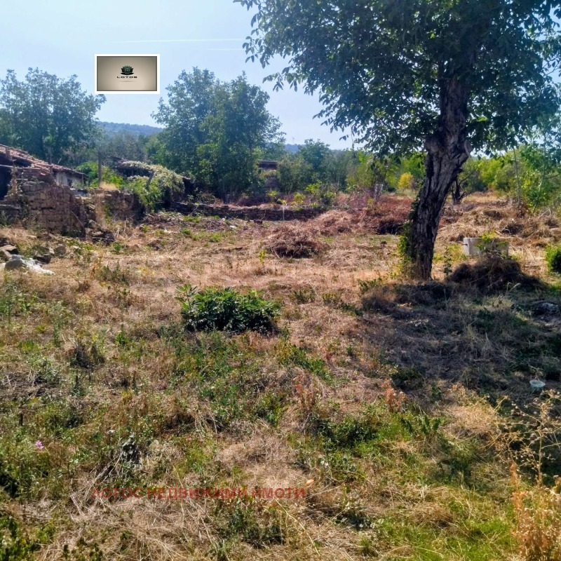 Продава КЪЩА, гр. Лясковец, област Велико Търново, снимка 8 - Къщи - 52223857