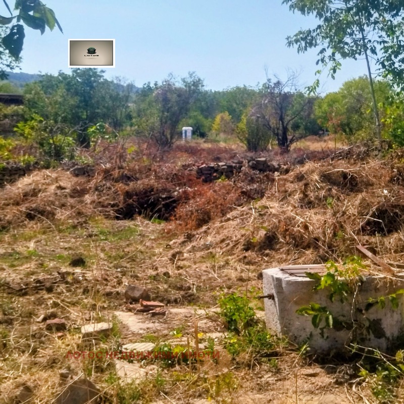 Продава КЪЩА, гр. Лясковец, област Велико Търново, снимка 10 - Къщи - 52223857