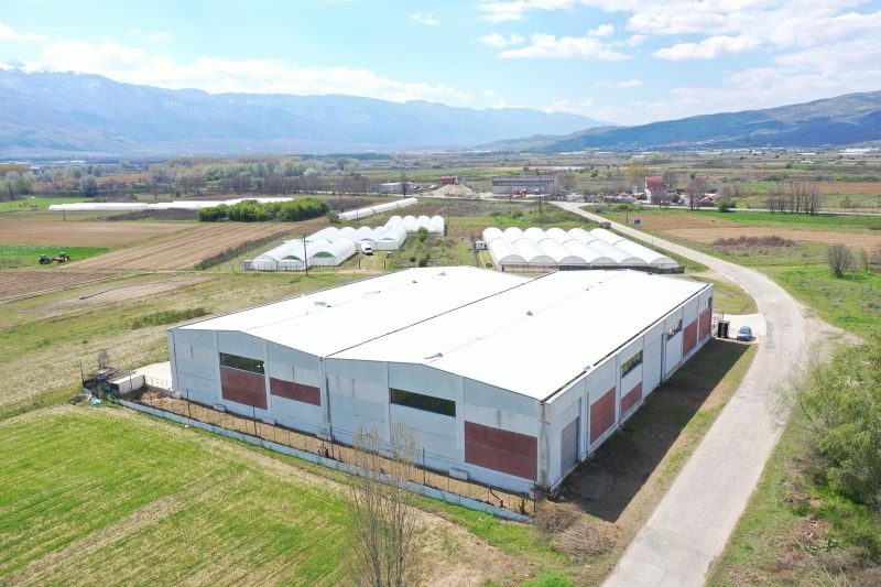 For Sale  Storage region Blagoevgrad , Petrich , 3850 sq.m | 26087481 - image [14]