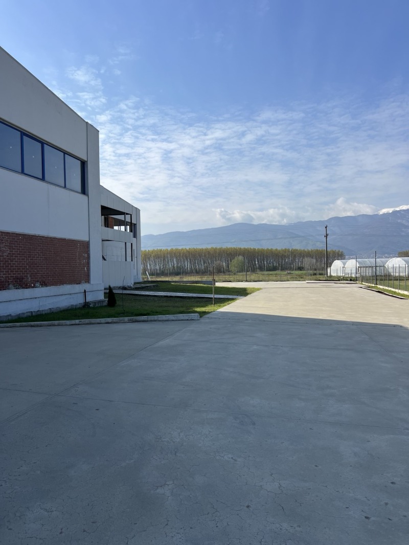 For Sale  Storage region Blagoevgrad , Petrich , 3850 sq.m | 26087481 - image [4]