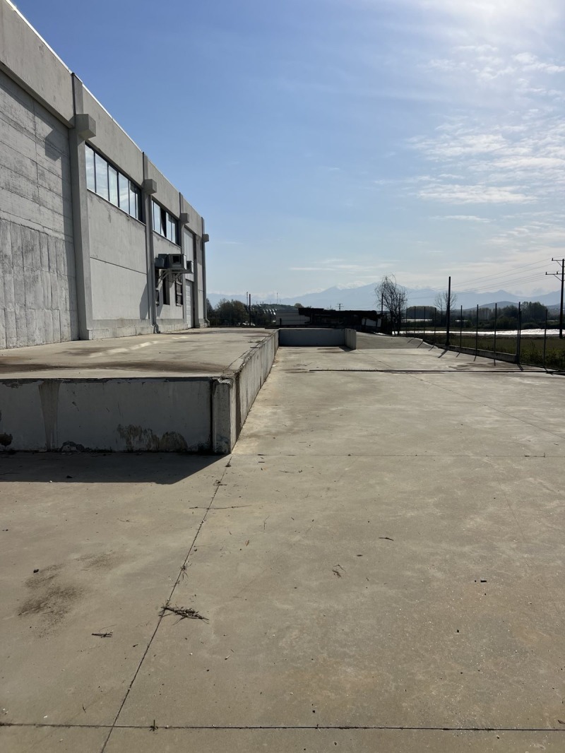 For Sale  Storage region Blagoevgrad , Petrich , 3850 sq.m | 26087481 - image [8]