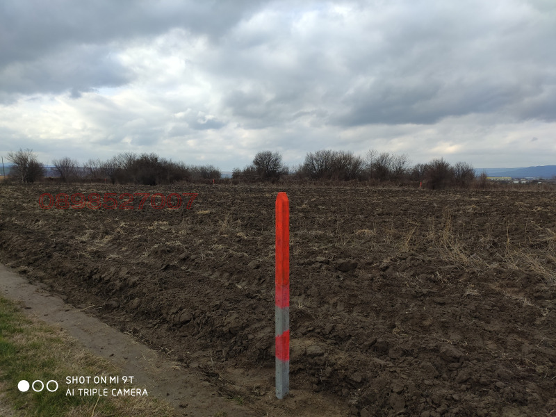 Продава ЗЕМЕДЕЛСКА ЗЕМЯ, гр. Игнатиево, област Варна