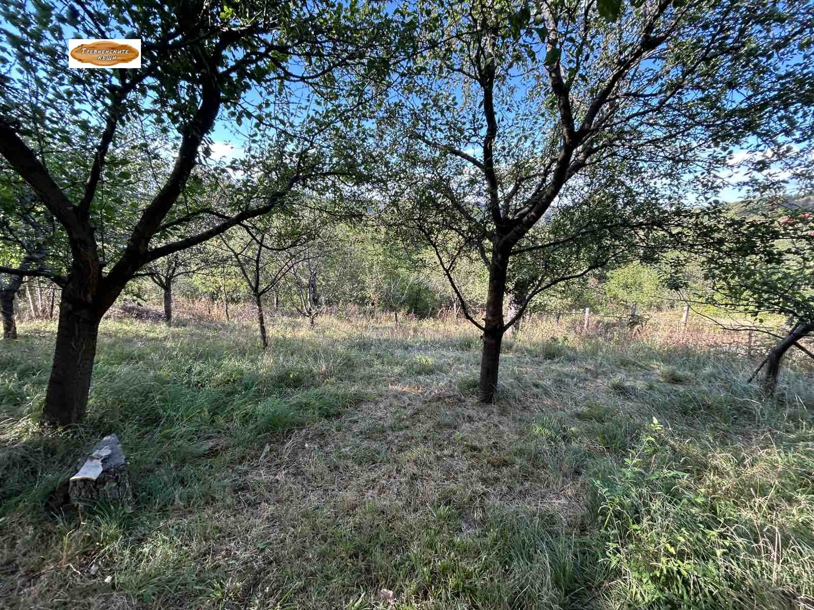 Продава КЪЩА, гр. Трявна, област Габрово, снимка 6 - Къщи - 56312757