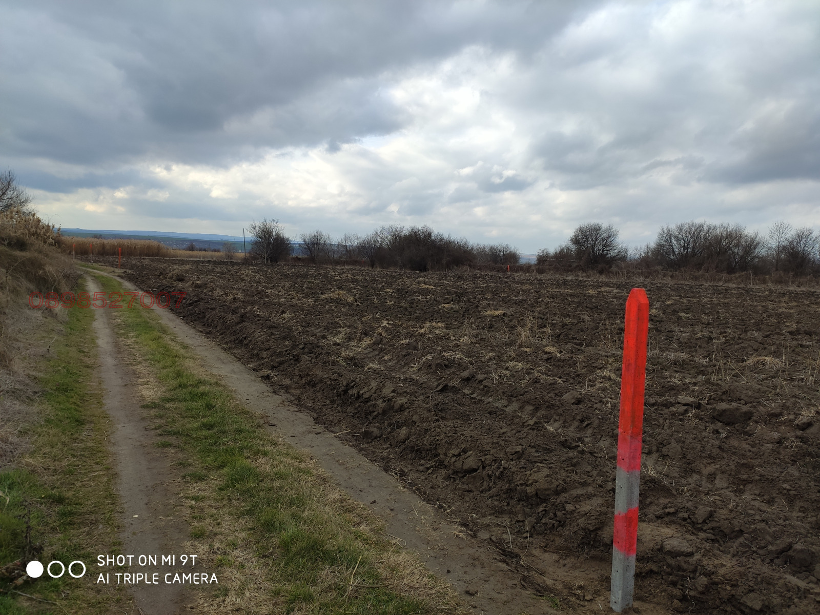 Продава ЗЕМЕДЕЛСКА ЗЕМЯ, гр. Игнатиево, област Варна, снимка 2 - Земеделска земя - 54162356