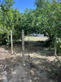 Продава ЕТАЖ ОТ КЪЩА, с. Бенковски, област Пловдив, снимка 10
