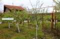 Продава ВИЛА, гр. Русе, в.з. Касева Чешма, снимка 13