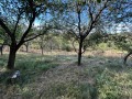 Продава  Къща област Габрово , гр. Трявна , 142 кв.м | 51883925 - изображение [6]