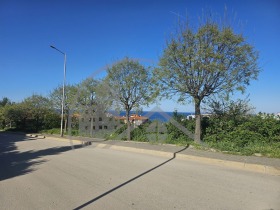 ����� ������� ������,��. ����, ������ �����