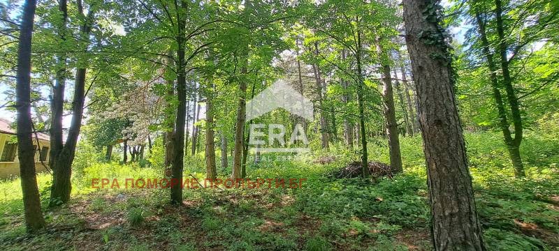 Продается  Дом область Бургас , Подвис , 730 кв.м | 29877644 - изображение [2]