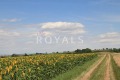 Продава ПАРЦЕЛ, с. Кичево, област Варна, снимка 2