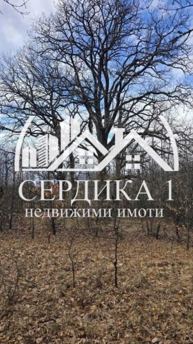 ������� ���� | Imot.bg � ����� ������ 14