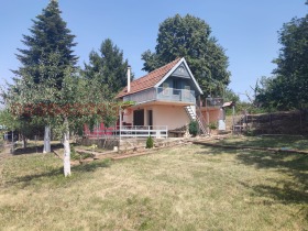 ����� ������� ����,���� ����, �.�. ������ �����