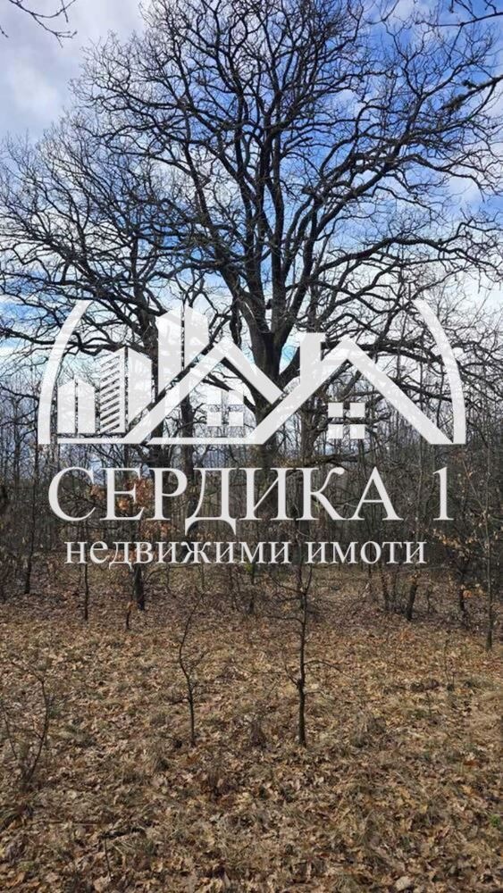Продава КЪЩА, с. Дреново, област София област, снимка 14 - Къщи - 55097988