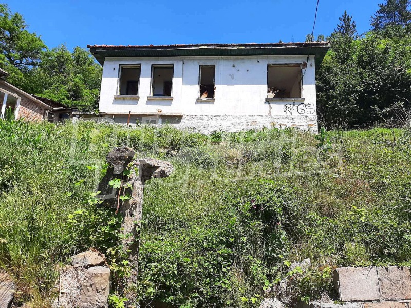 Продава КЪЩА в област Габрово, гр. Дряново - 60 кв.м / 17 500 € » 34 227.03 лв., БЪЛГЕРИАН ПРОПЕРТИС
