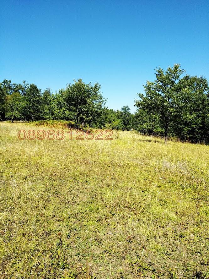 Продава ПАРЦЕЛ, с. Орешак, област Ловеч, снимка 6 - Парцели - 52781159